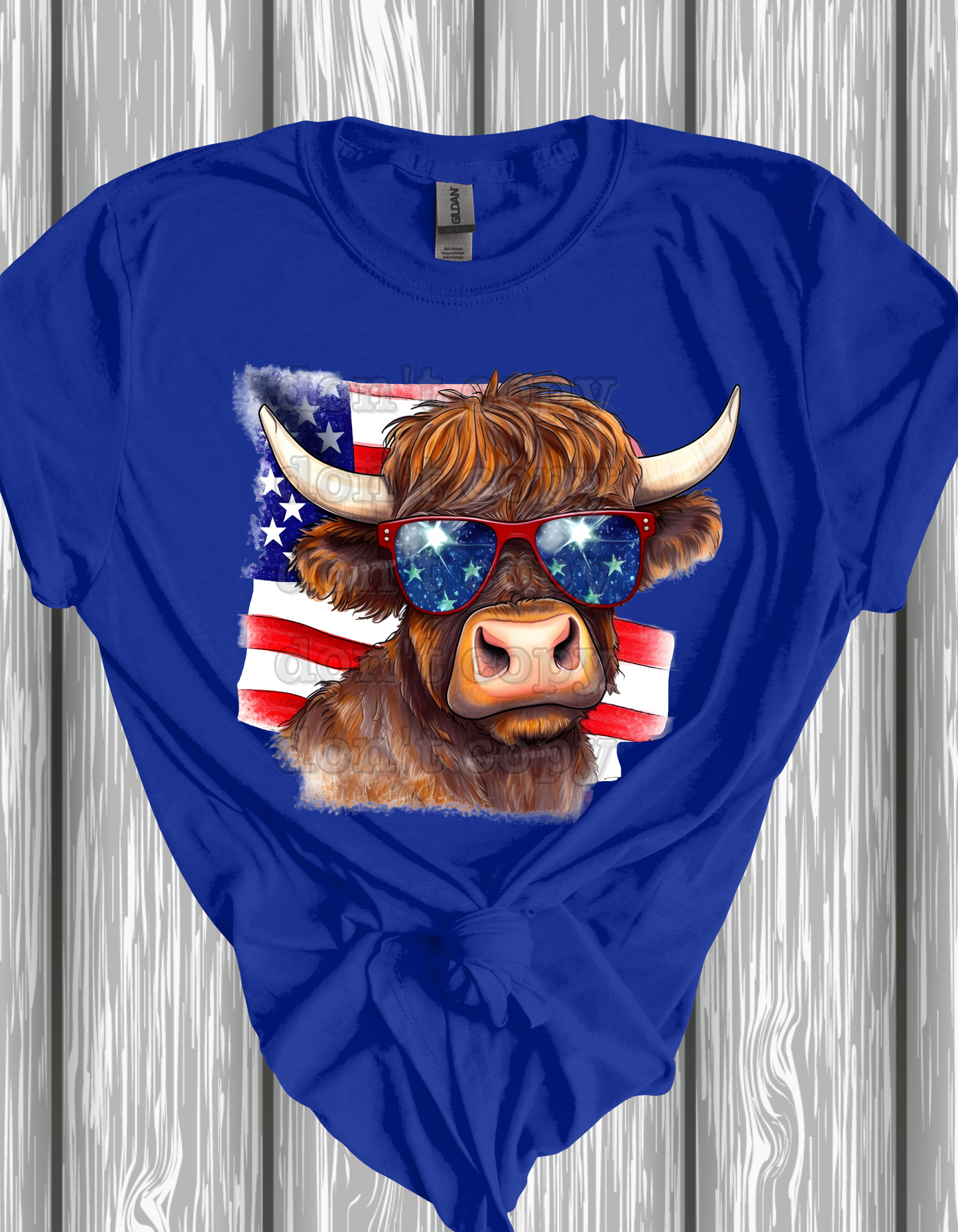 Cool 4th of July Bison Direct to Film Transfer