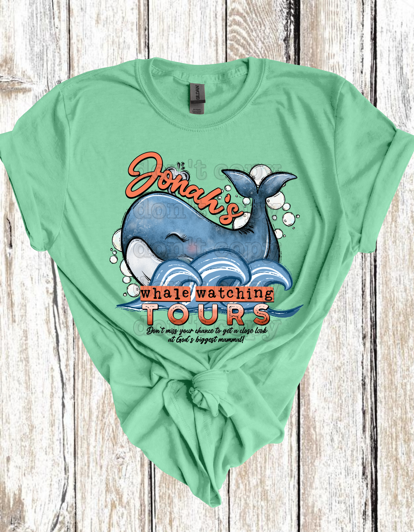 Jonah's Whale Watching Tour Direct to Film Transfer