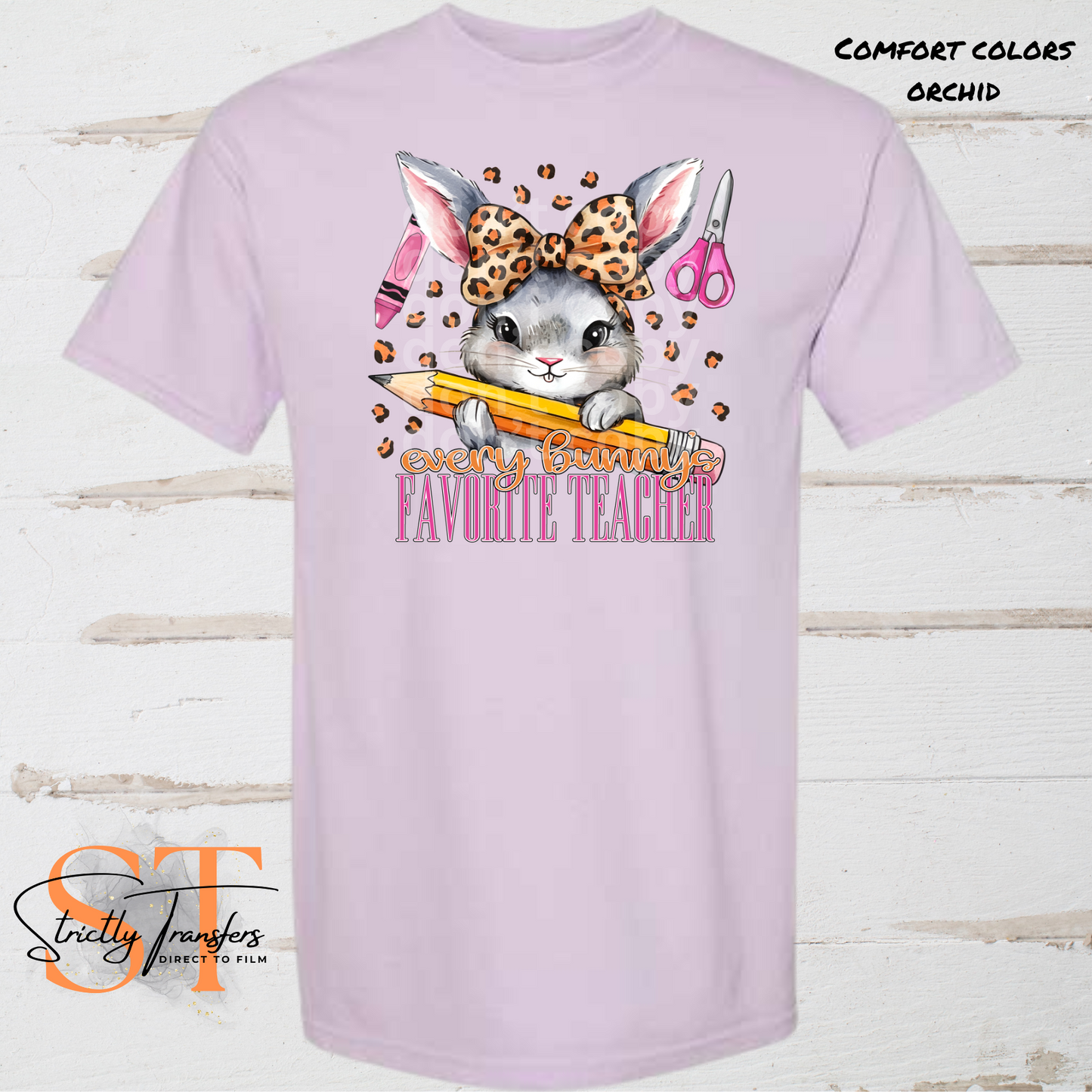 Some Bunny's Favorite Teacher Direct to Film Transfers