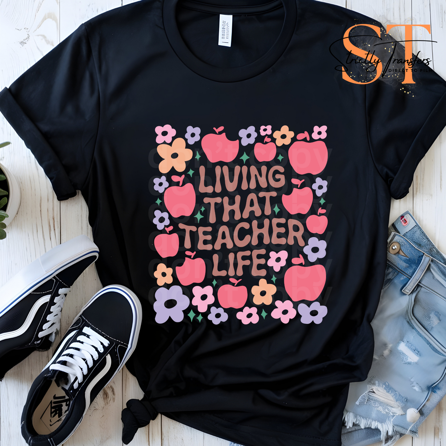 Living That Teacher Life Direct to Film Transfers