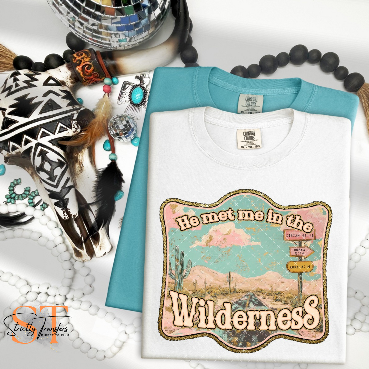 He met me in the Wilderness Direct to Film Transfers