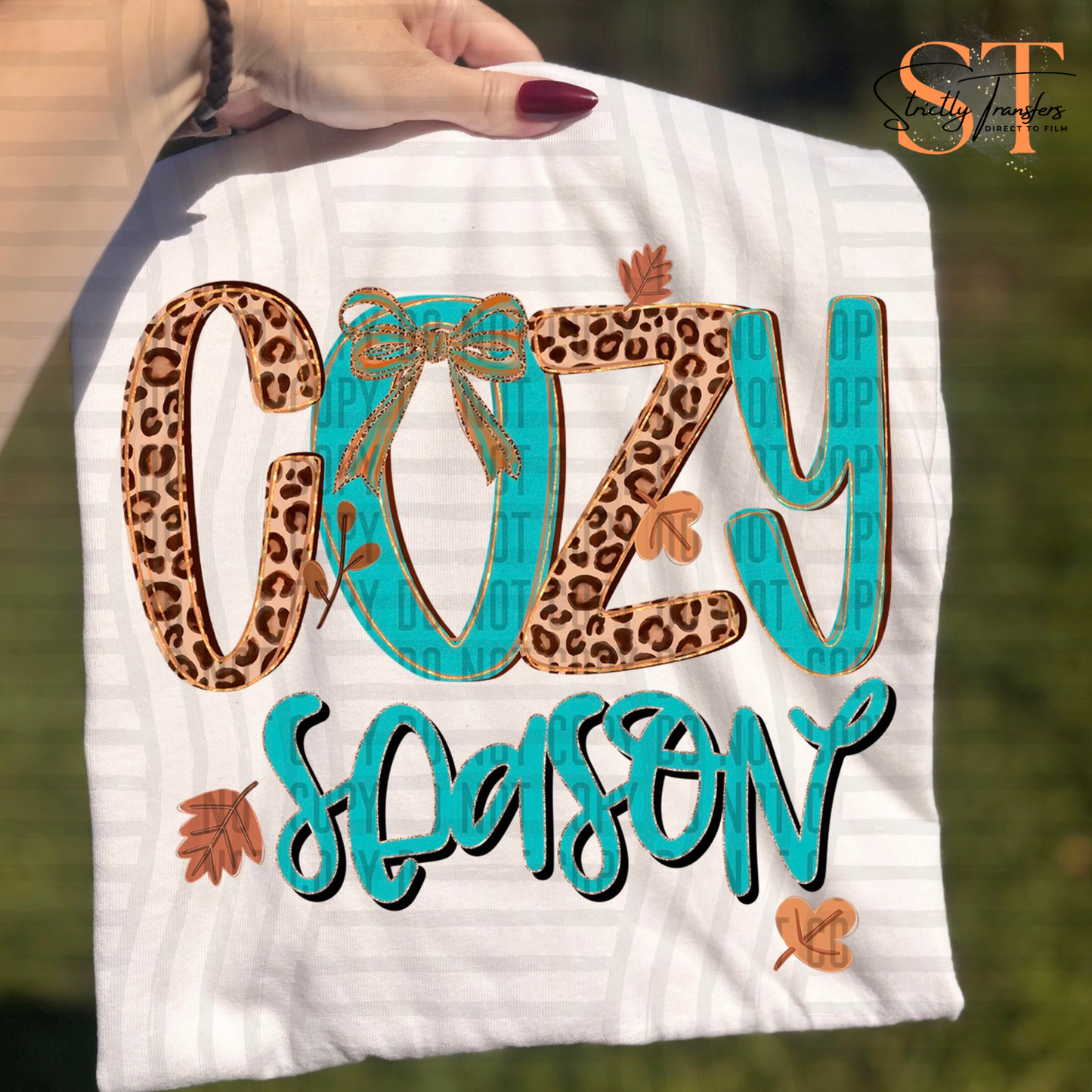 Cozy Season Direct to Film Transfers