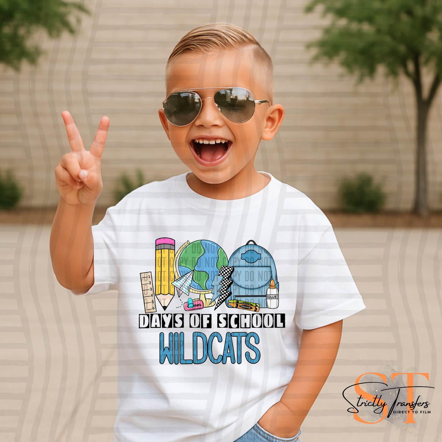 100 Days of School Wildcats Blue Direct to Film Transfers