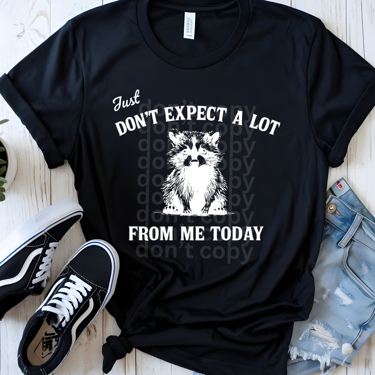 Just Don't Expect A Lot from Me Today Racoon Direct to Film Transfers