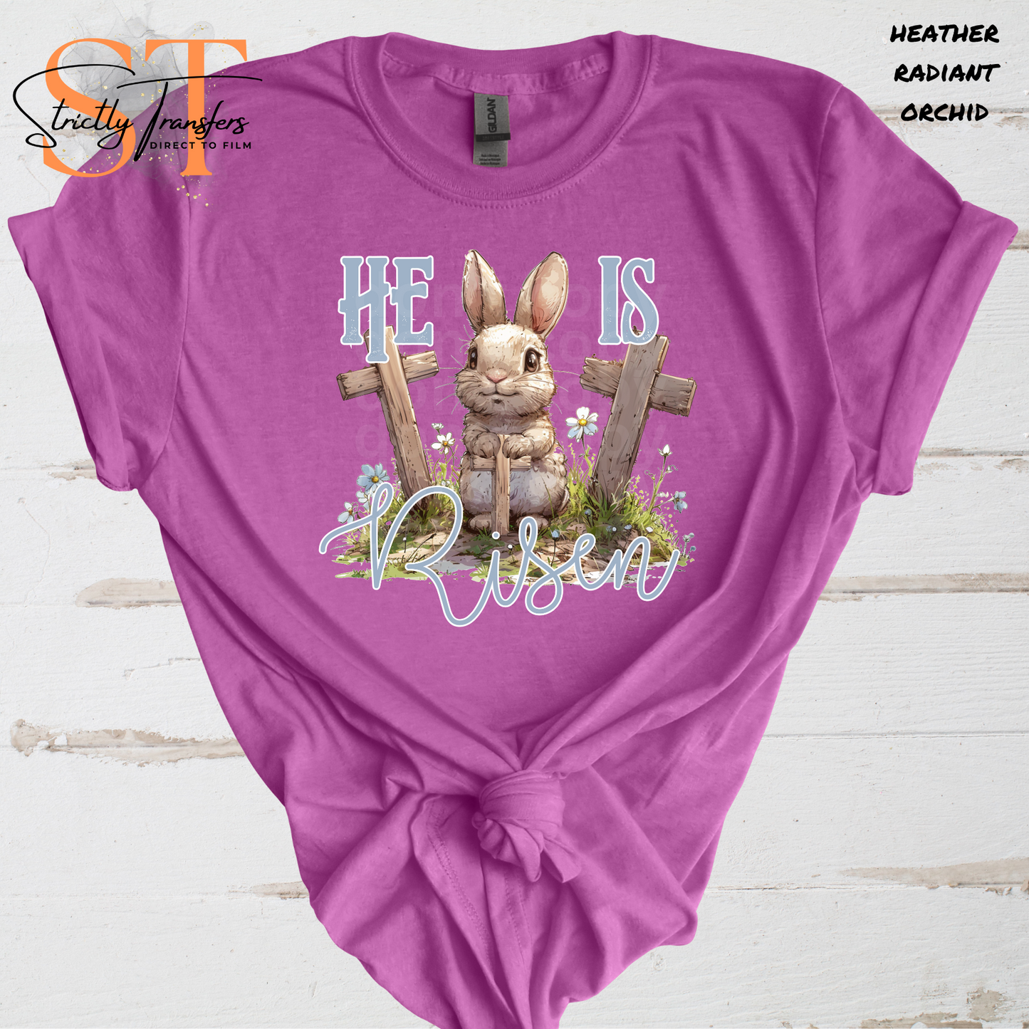 He is Risen Bunny Direct to Film Transfers