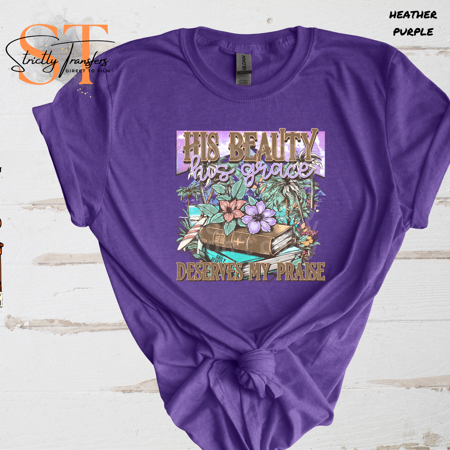 His Beauty His Grace Direct to Film Transfers