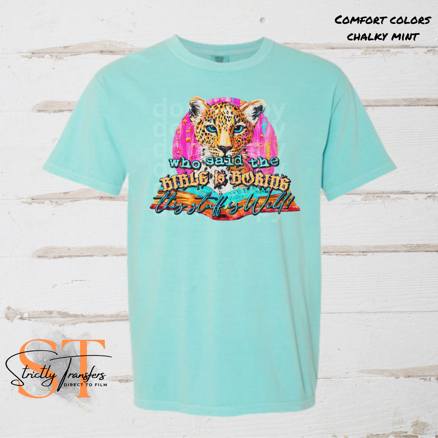 Who Said the Bible is Boring Direct to Film Transfers