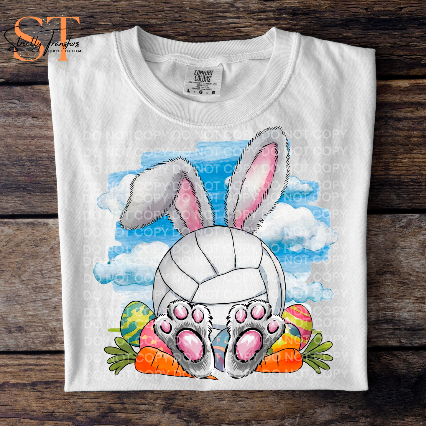 Easter Bunny Volleyball Direct to Film Transfers