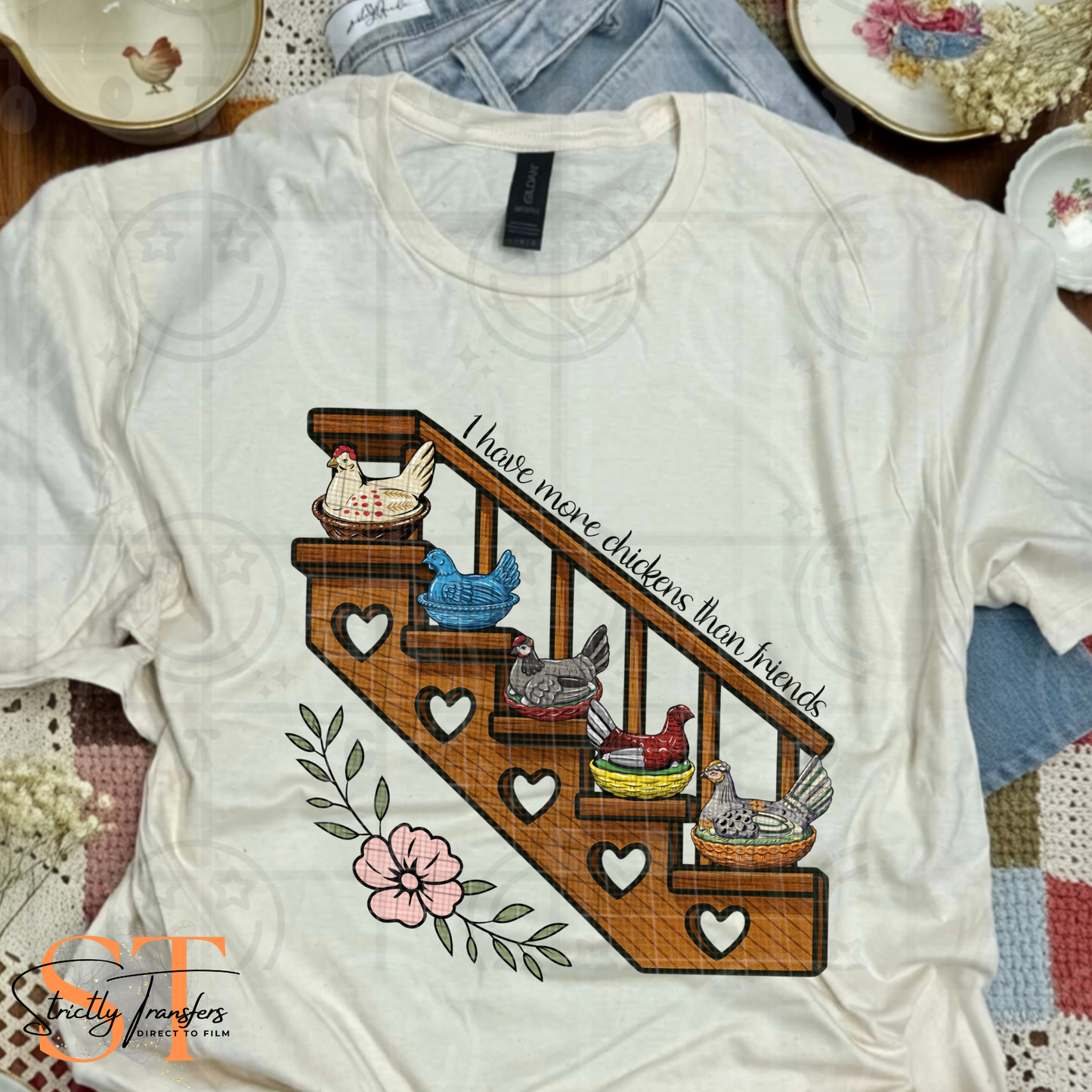 I Have More Chickens Than Friends Direct to Film Transfers