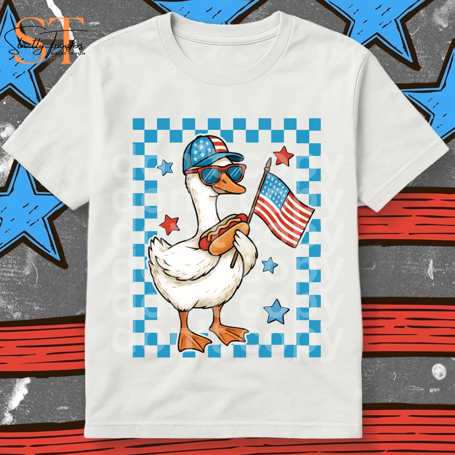 Patriotic Boy Goose Direct to Film Transfers