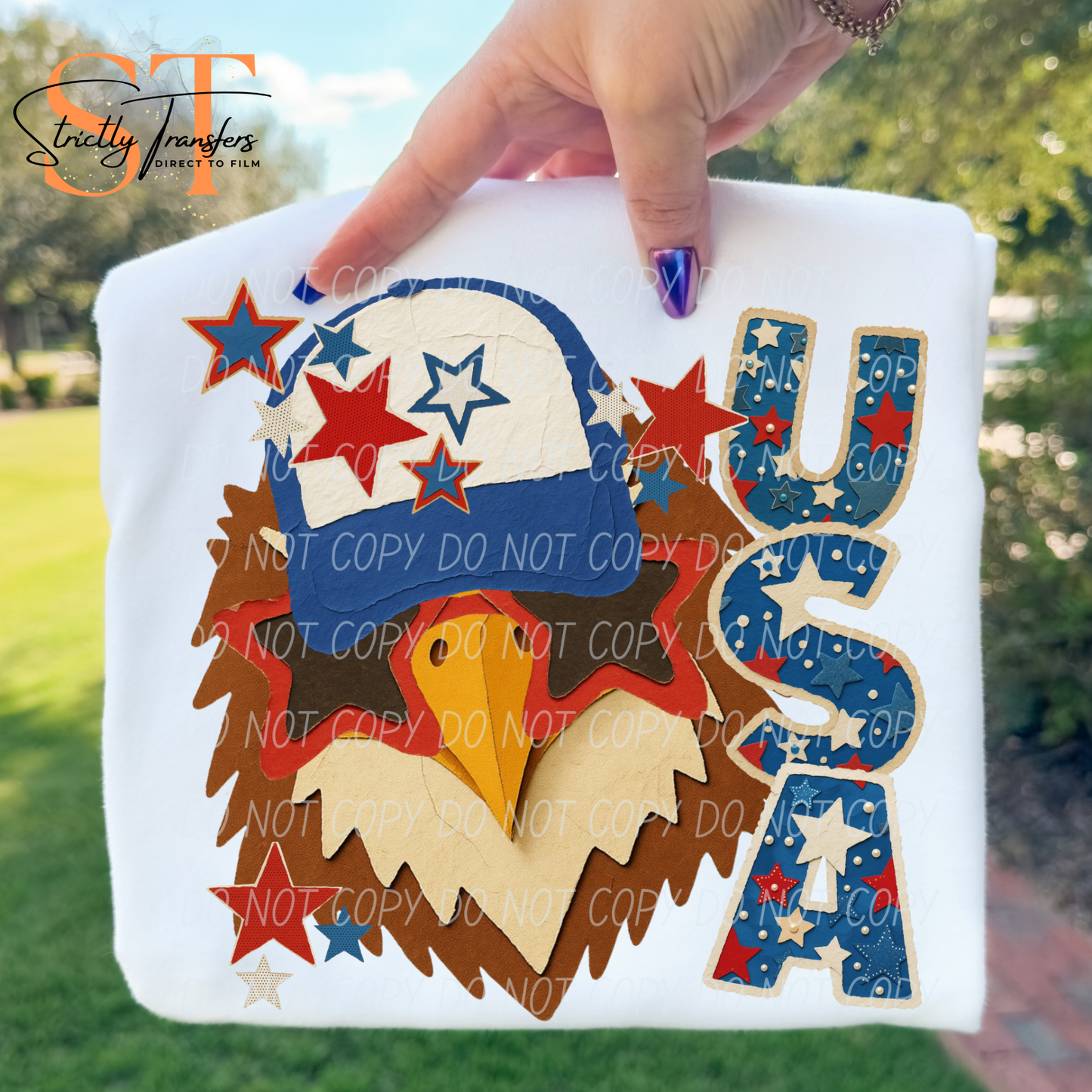USA Eagle Direct to Film Transfers