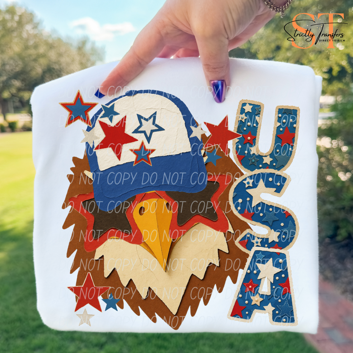 USA Eagle Direct to Film Transfers