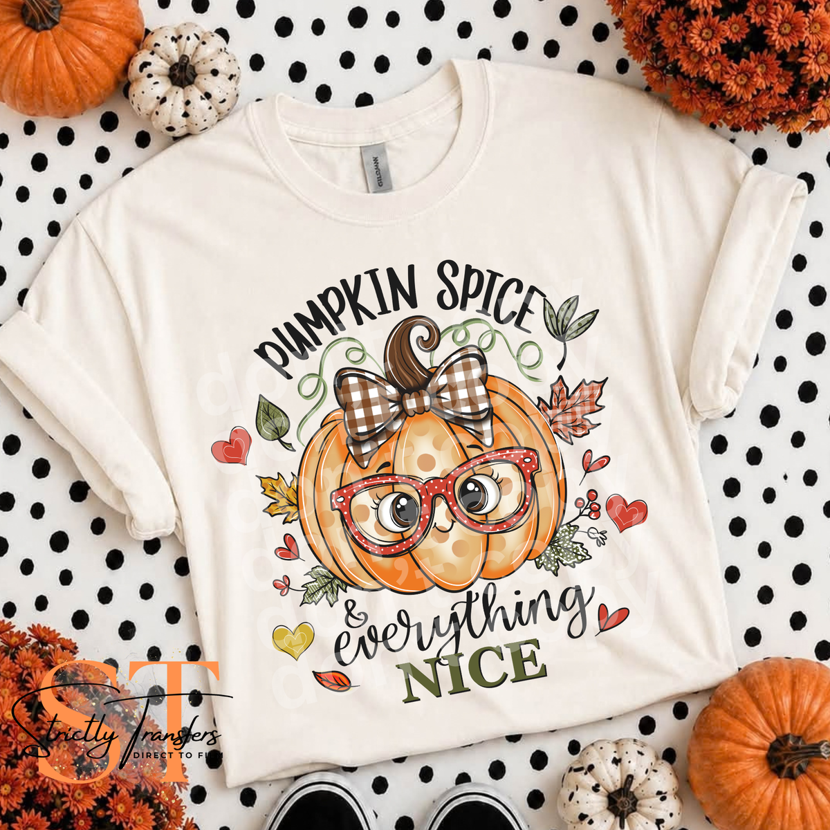 Pumpkin Spice & Everything Nice Direct to Film Transfers