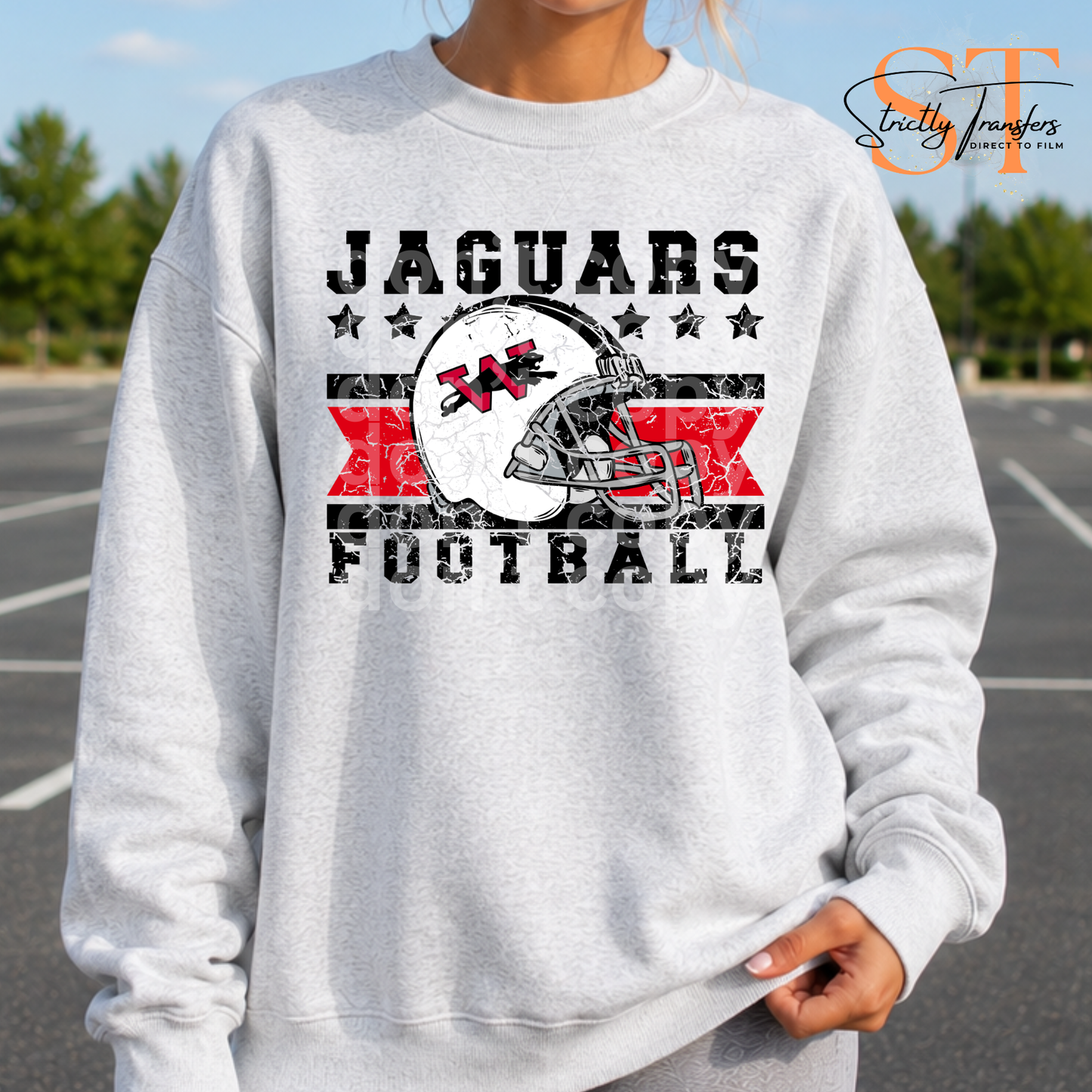 Distressed Football Helmet Logo Mascots Direct to Film Transfers