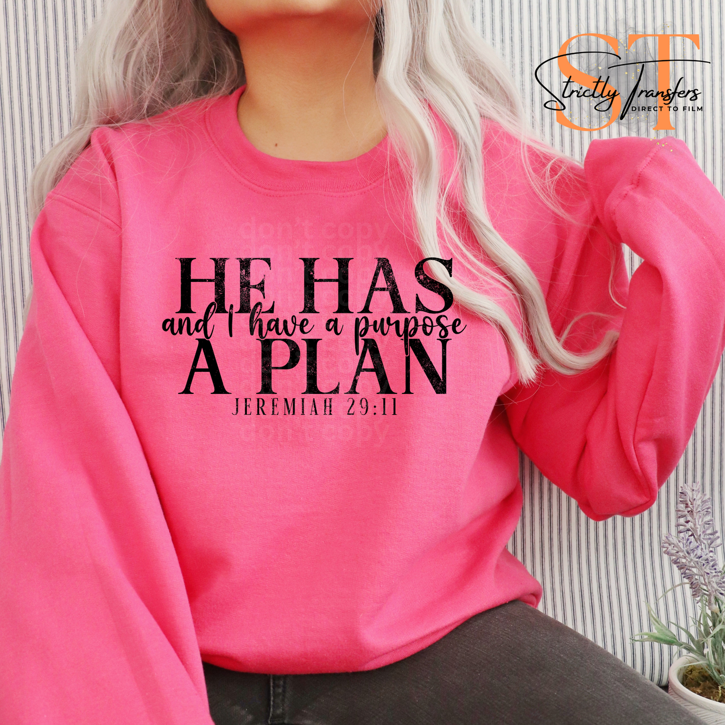 He has a Plan Film Transfers