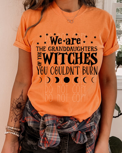 Granddaughters of the Witches You Couldn’t Burn Direct to Film Transfer