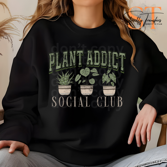 Plant Addict Social Club Direct to Film Transfers
