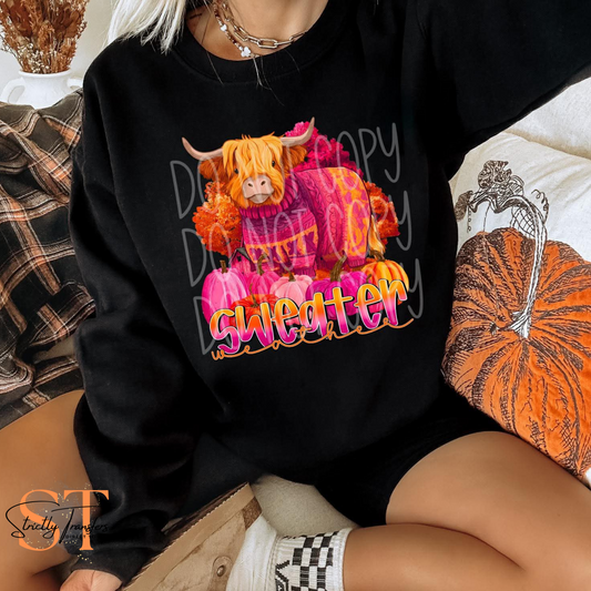 Sweater Weather Direct to Film Transfers