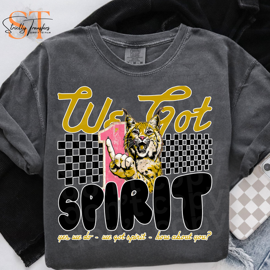 We Got Spirit Wildcats Direct to Film Transfers