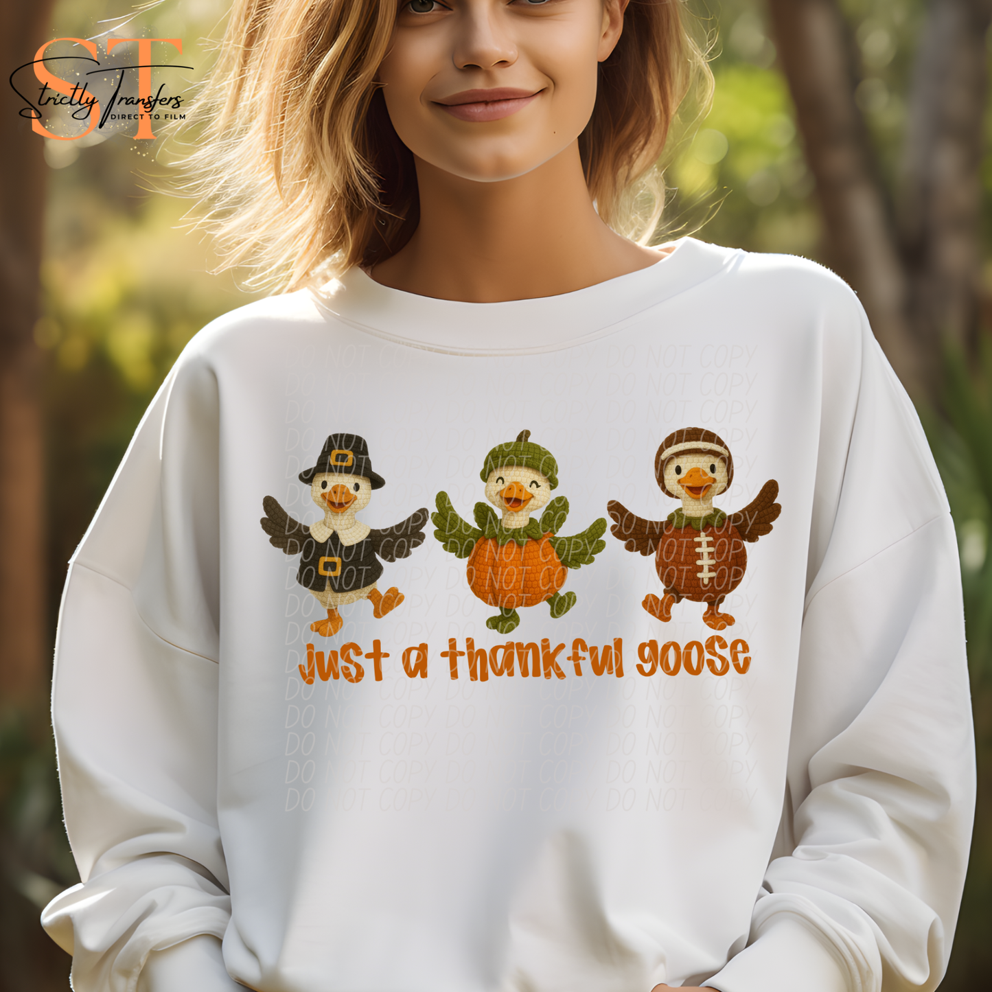 Just a Thankful Goose Trio Direct to Film Transfers