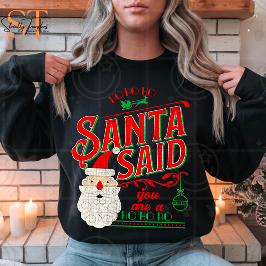 Santa Said - 2 options Direct to Film Transfers