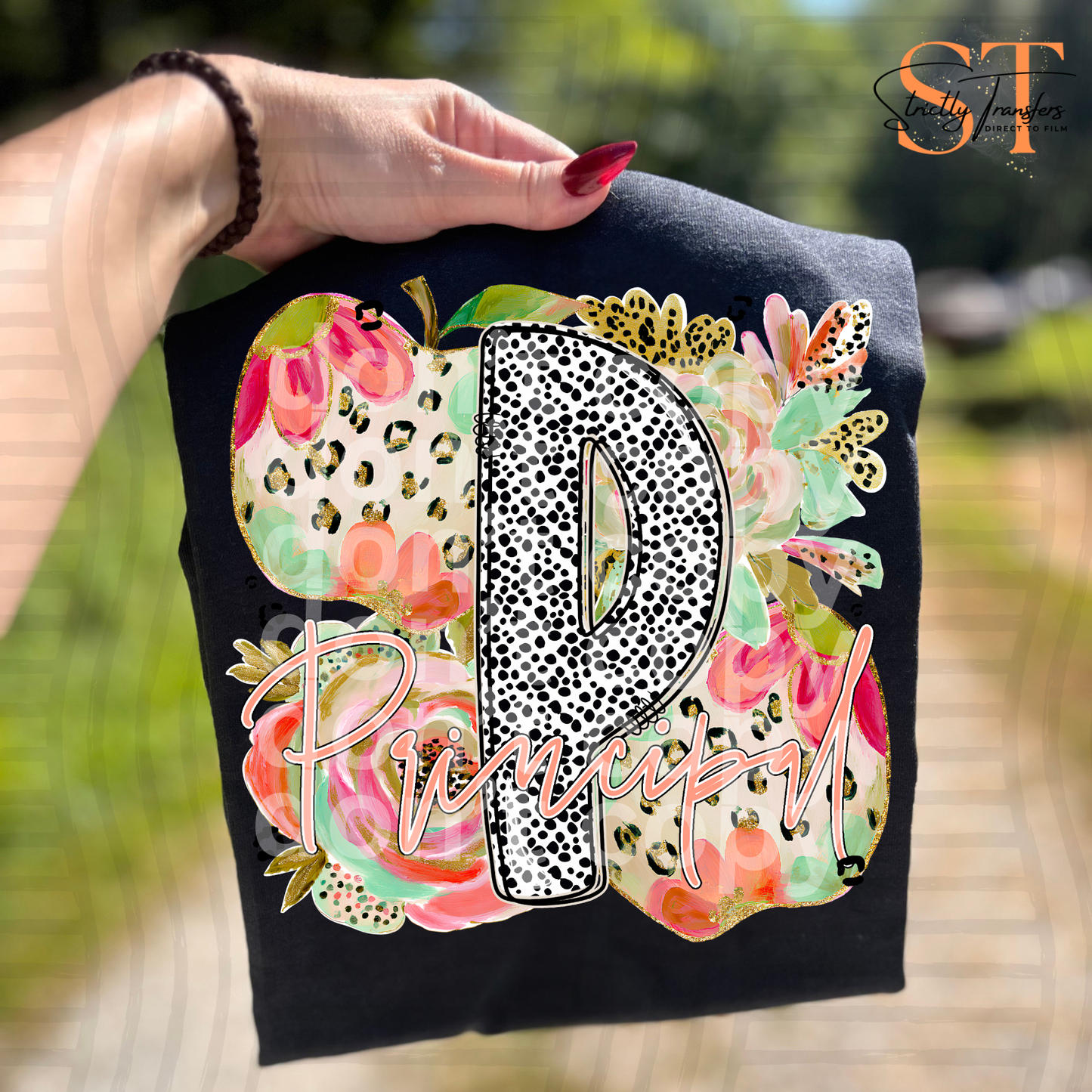 Dotted Leopard School Titles Direct to Film Transfers