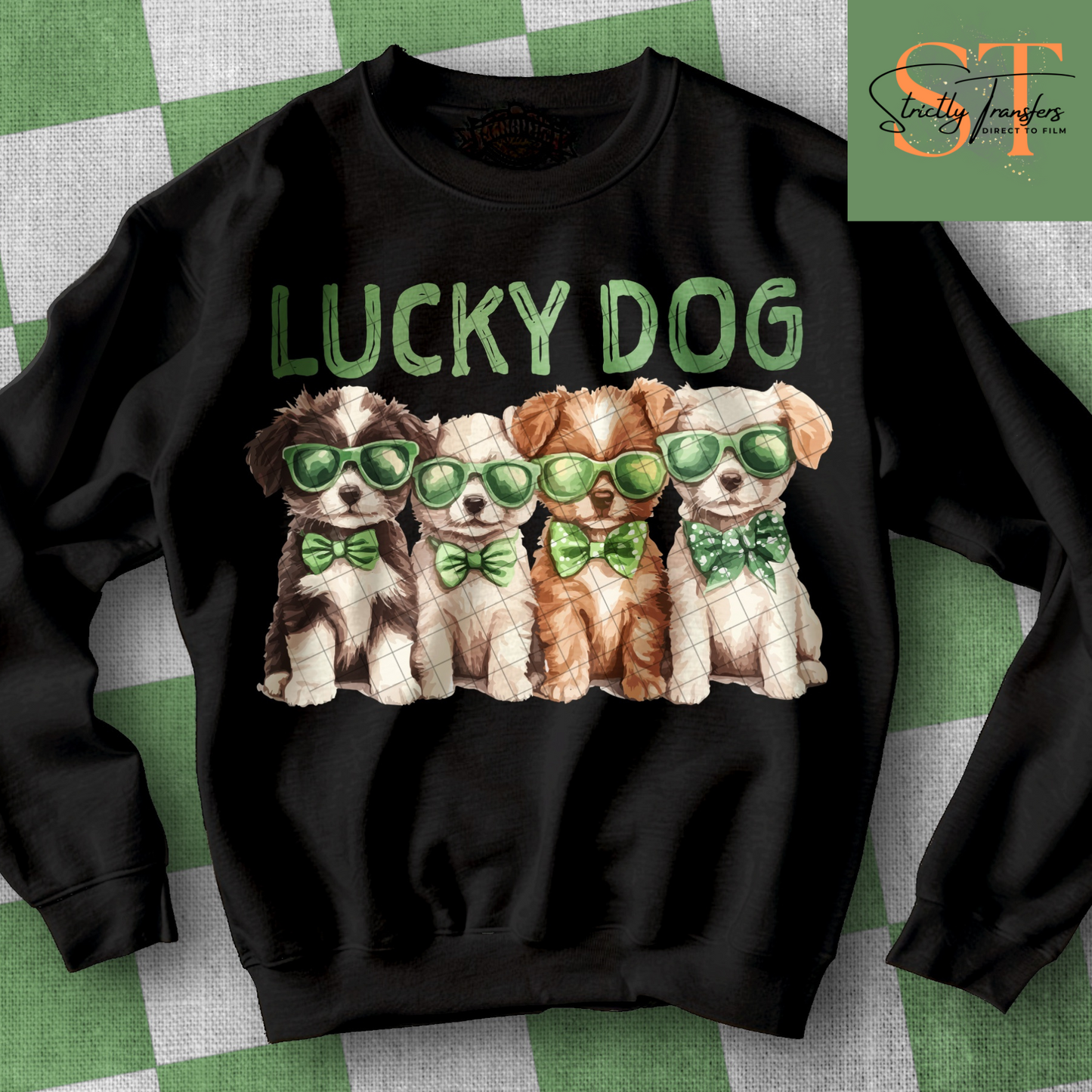 Lucky Dog Direct to Film Transfers