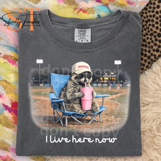 Just a Bleacher Creature Direct to Film Transfers