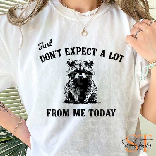 Just Don't Expect A Lot from Me Today Racoon Direct to Film Transfers