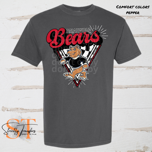 Retro/Vintage Briarwood Bears Direct to Film Transfers