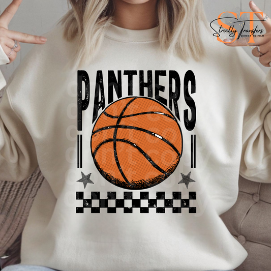 Panthers Basketball Direct to Film Transfers