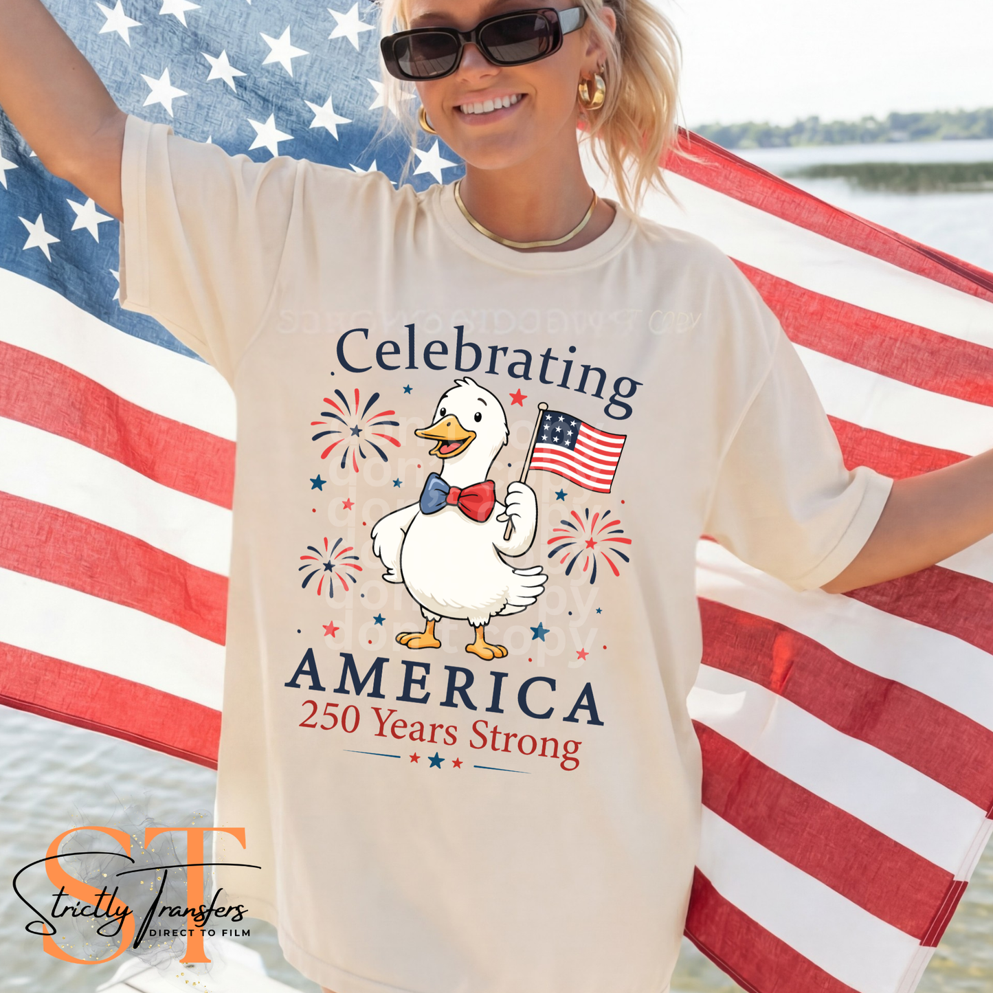 Celebrating America Goose Direct to Film Transfers
