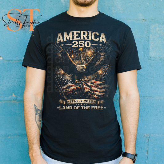 America 250 Halftone Direct to Film Transfers