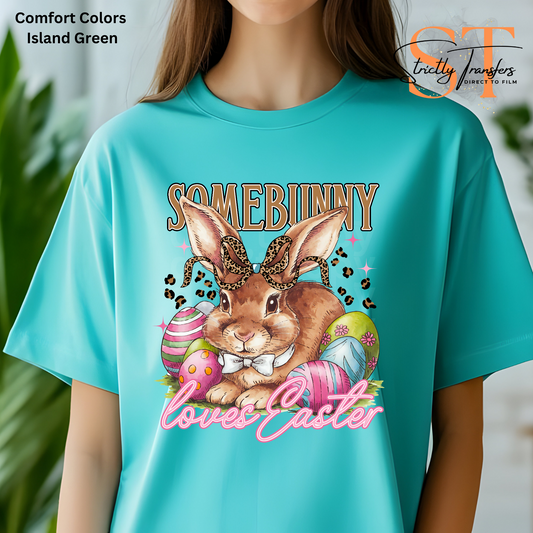 Some Bunny loves Easter Direct to Film Transfers