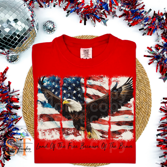 Land of the Free Because of the Brave Eagle Direct to Film Transfers
