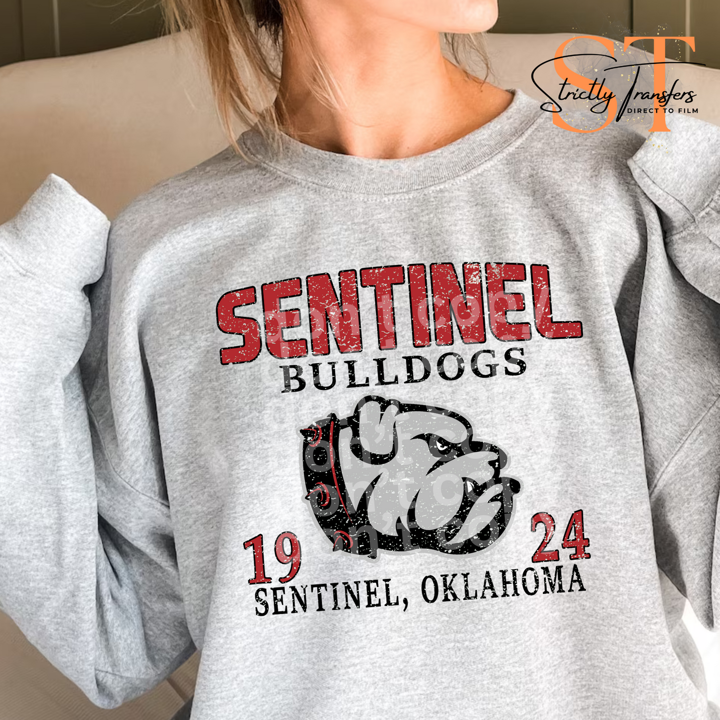 Sentinel Bulldogs 1924 Weathered Direct to Film Transfers
