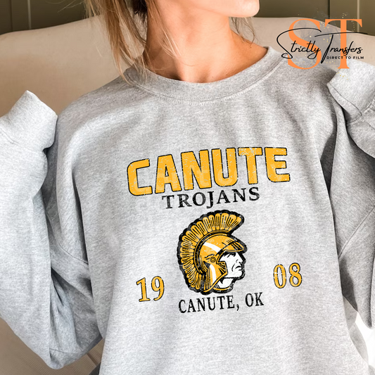 Canute Trojans Weathered Direct to Film Transfers