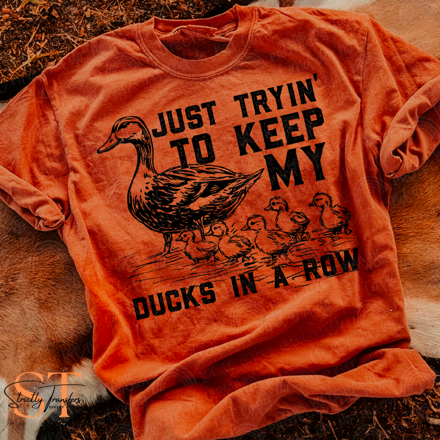 Just Trying to Keep my Ducks in a Row Direct to Film Transfers