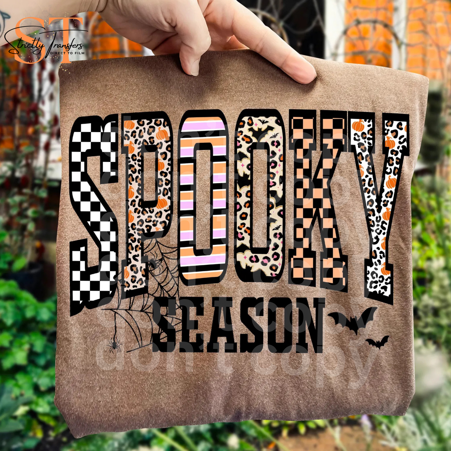 Spooky Season Direct to Film Transfers