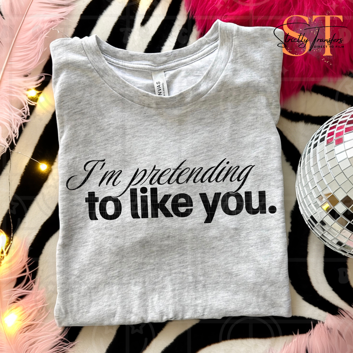 I'm Pretending to Like You Direct to Film Transfers