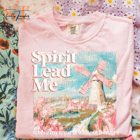 Spirit Lead Me Direct to Film Transfers