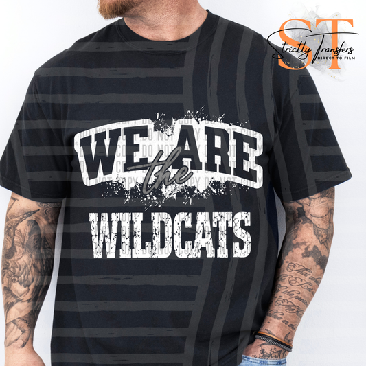 We are the Wildcats Direct to Film Transfers