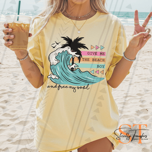 Give Me the Beach Boy Direct to Film Transfers