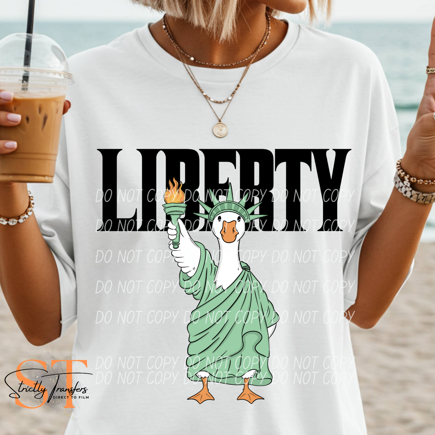 Liberty Goose Converse Direct to Film Transfers