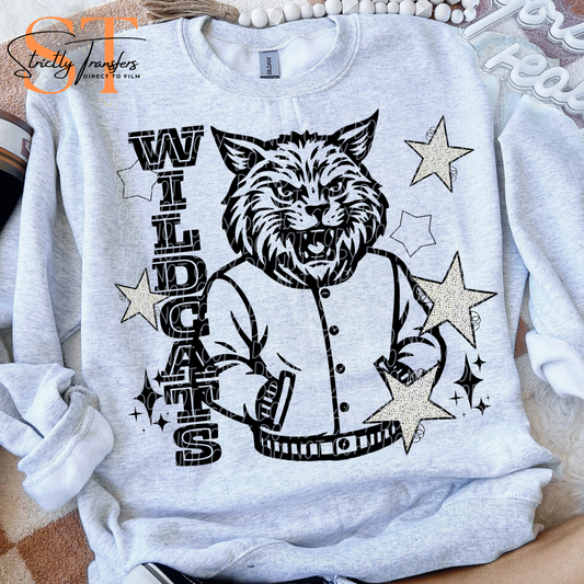 Wildcats Letterman Direct to Film Transfers