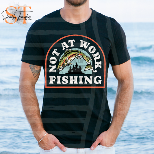 Not at Work, Fishing Direct to Film Transfers