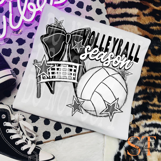 Volleyball Season Direct to Film Transfers
