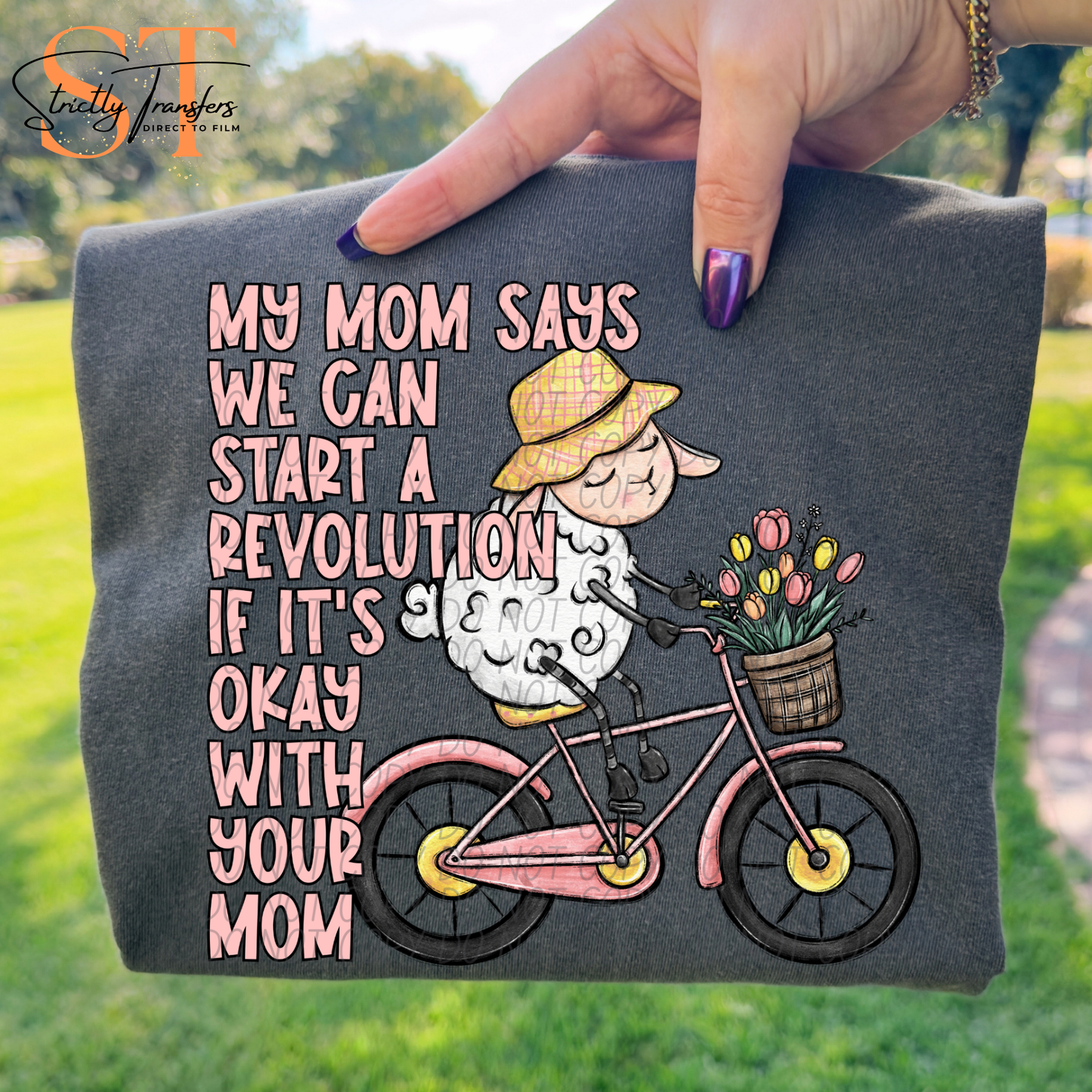 My Mom Said We Could Start a Revolution Direct to Film Transfers