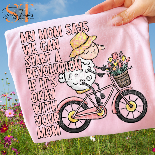 My Mom Said We Could Start a Revolution Direct to Film Transfers