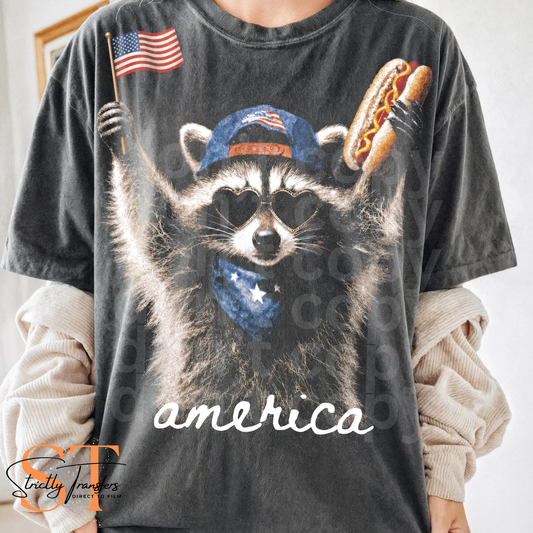 America Racoon Direct to Film Transfers